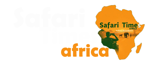 Footer Logo